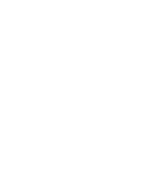 A1 Productions
